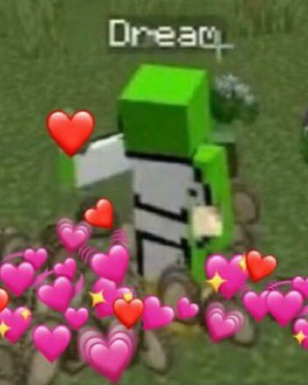 Featured image of post Dream Minecraft Wholesome Memes