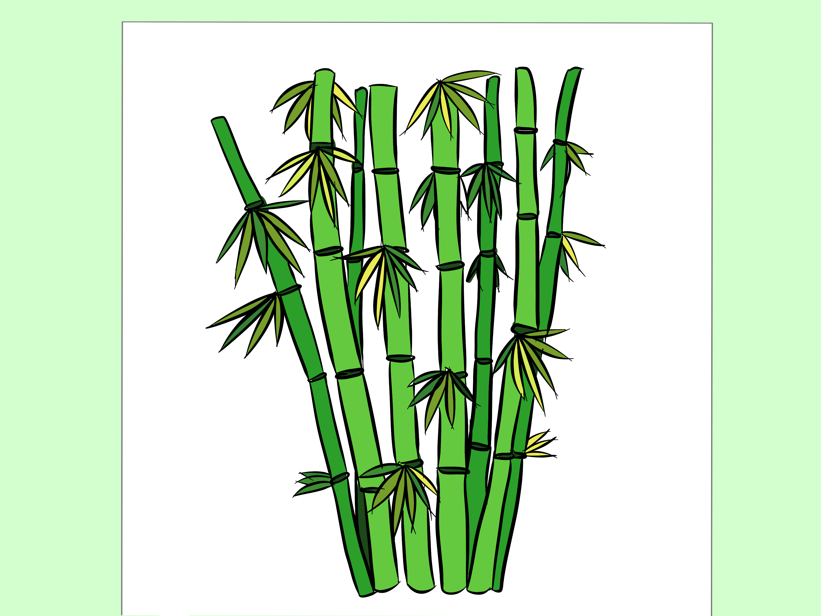 Featured image of post How To Draw Bamboo Step By Step