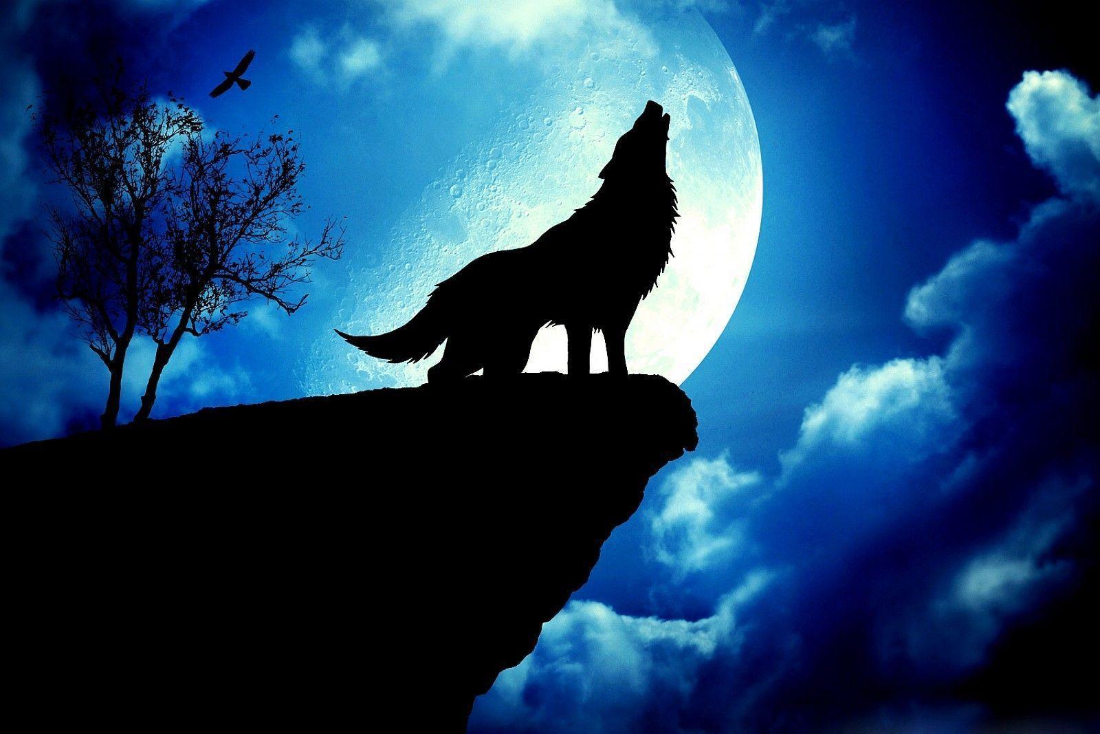 Featured image of post Moon Wolf Wallpaper Hd