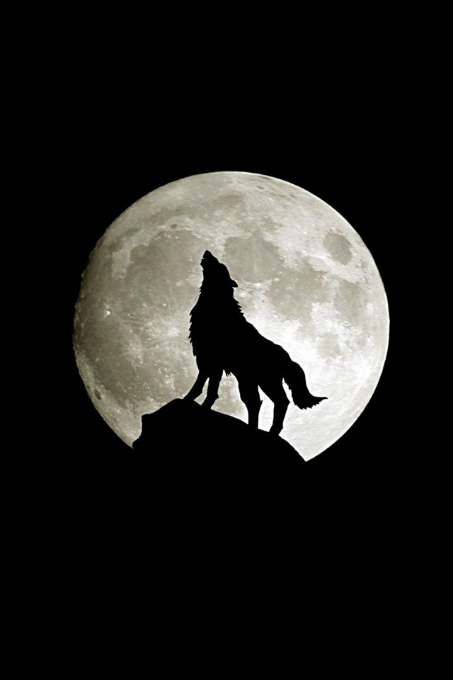 Featured image of post Moon Wolf Wallpaper Iphone